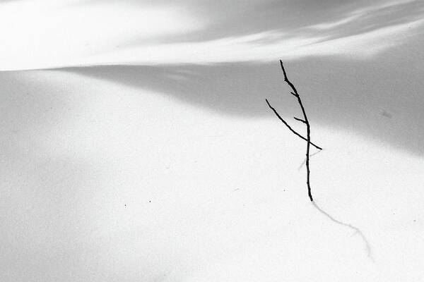 Snow Art Print featuring the photograph Winter Minimalism by Martin Vorel Minimalist Photography