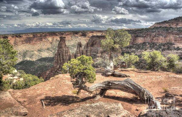 Colorado National Monument Art Print featuring the photograph Grand View I by ELDavis Photography