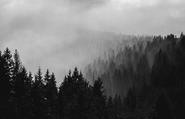 Foggy Art Print featuring the photograph Foggy Mountain Forest by Martin Vorel Minimalist Photography