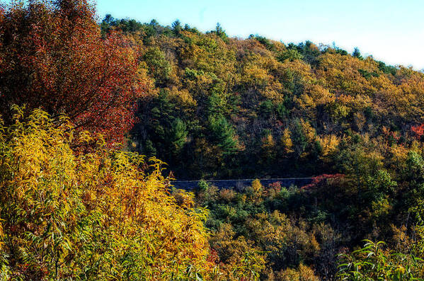 Fall Art Print featuring the photograph Fall on the Blue Ridge Parkway by Cathy Shiflett