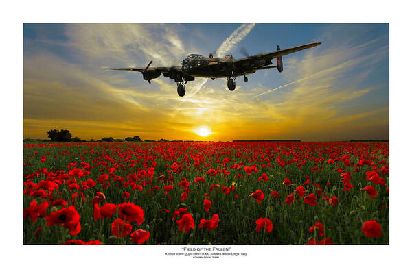 Wwii Art Print featuring the digital art Field of the Fallen - Titled by Mark Donoghue