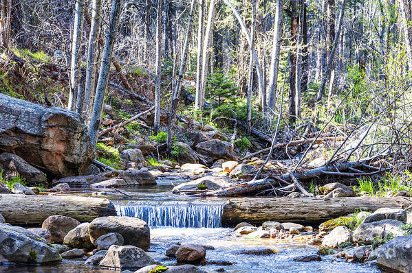 Waterfall Art Print featuring the photograph Log Falls by Anthony Citro