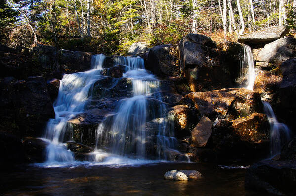 Zeacliff Art Print featuring the photograph Waterfall, Whitewall Brook by Rockybranch Dreams