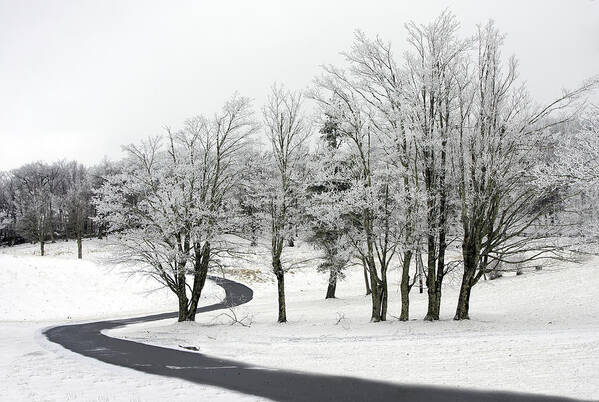 Ken Barrett Art Print featuring the photograph Mac Rae Field Curved Path by Ken Barrett