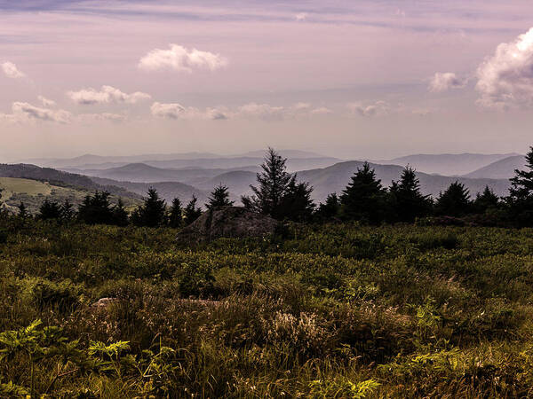 Blue Ridge Mountains Art Print featuring the photograph Blue Ridge Overlook by Kevin Senter