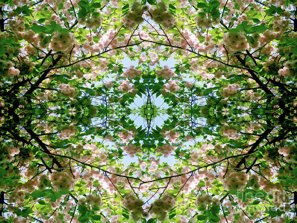 Spring Art Print featuring the digital art Spring Symmetry 23 by David Hargreaves