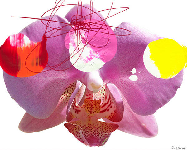 Flower Art Print featuring the painting Pink Cowboy Hat 3 by Geronimo 