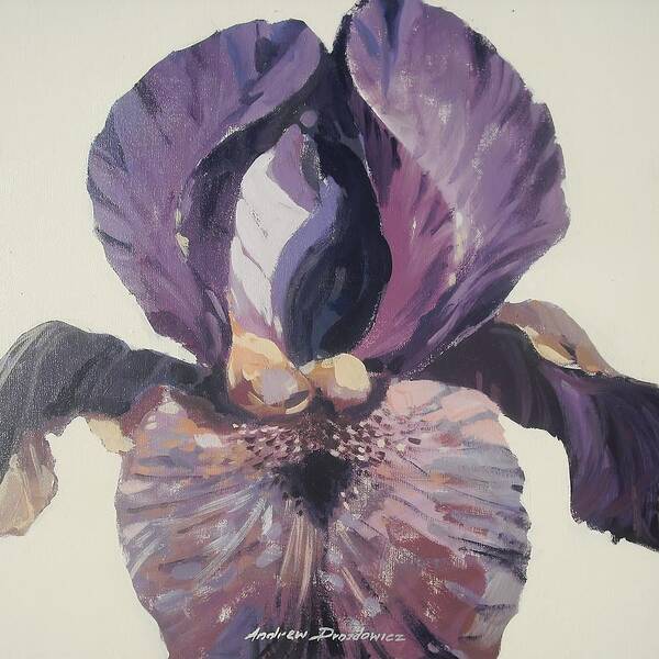 Iris Art Print featuring the painting Iris 1 by Andrew Drozdowicz