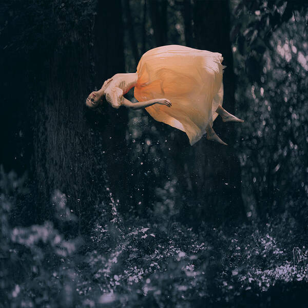 Landscape Art Print featuring the photograph Forest Floating by Anka Zhuravleva