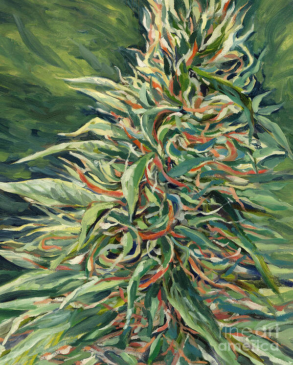 Marijuana Art Print featuring the painting Super Silver Haze by Mary Jane