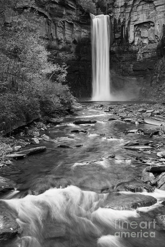 Michele Art Print featuring the photograph Taughannock Monochrome I by Michele Steffey