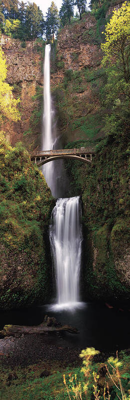 Photography Art Print featuring the photograph Waterfall In A Forest, Multnomah Falls #3 by Panoramic Images