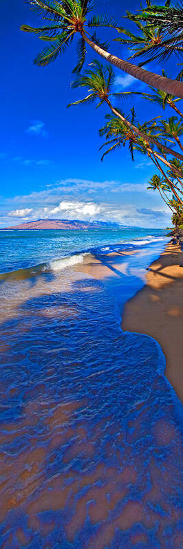 Maui Hawaii Palms Ocean West Maui Art Print featuring the photograph Maui palms by James Roemmling