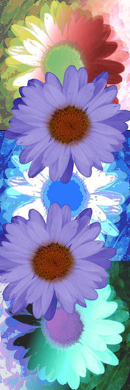 ruth Palmer Art Art Print featuring the digital art Vertical Daisy Collage by Ruth Palmer