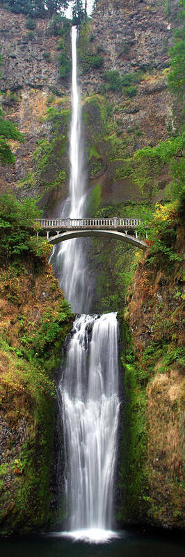 Waterfall Art Print featuring the photograph Multnomah Falls, Tall And Slender by Douglas Taylor