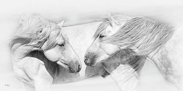 Horse Art Print featuring the photograph Old Acquaintances by Phyllis Burchett