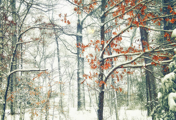 Enjoy The Winter Season! Art Print featuring the photograph Winter Wonderland #1 by Gerlinde Keating