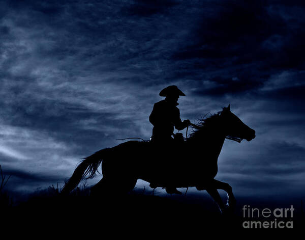 Night Rider Art Print featuring the photograph Night Rider by Heather Swan