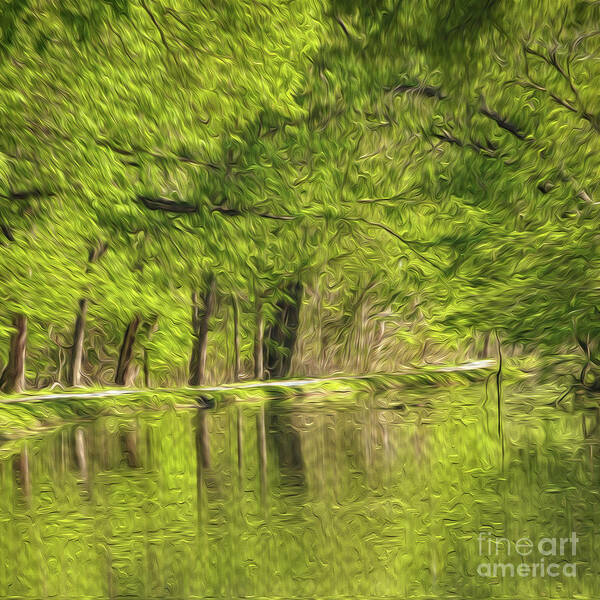 Spiritual Art Print featuring the photograph Green Reflections by Atousa Raissyan