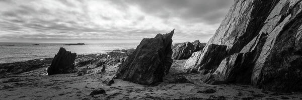 Devon Art Print featuring the photograph Ayrmer Cove South Hams Deven south west coast path black and white 2 by Sonny Ryse