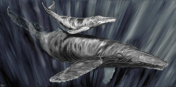 Graywhales Art Print featuring the painting Gray Whales by Steve Ozment