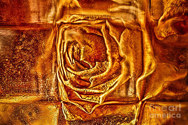 Orange Rose Art Print featuring the photograph Orange Rose by Omaste Witkowski