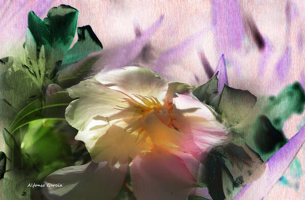 Flowers Art Print featuring the photograph Adios Primavera by Alfonso Garcia
