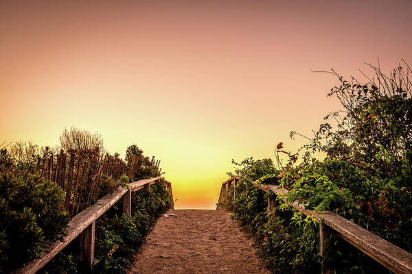 Beach Life Art Print featuring the photograph Path Over The Dunes At Sunrise. by Jeff Sinon