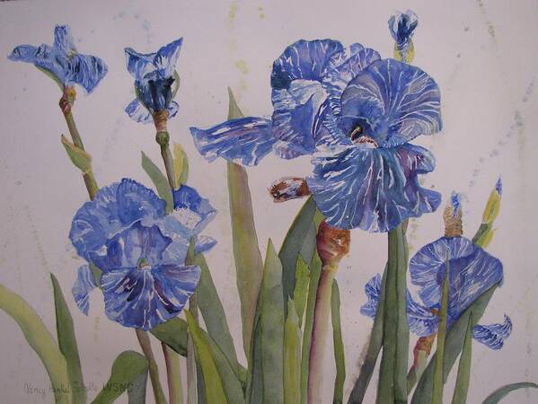 Iris Art Print featuring the painting Amy's Garden by Nancy Henkel Schulte