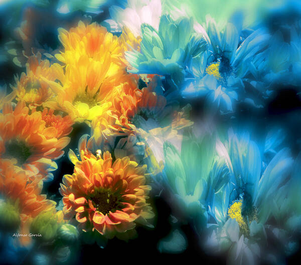 Fine Art Floral Art Print featuring the photograph Fiesta Floral by Alfonso Garcia