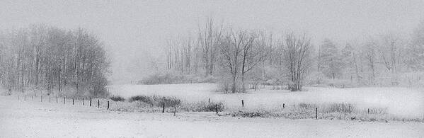 Flfap Art Print featuring the photograph Snowy Fields by Michele Steffey
