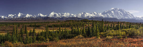 Alaska Art Print featuring the photograph Denali Tundra by Ed Boudreau