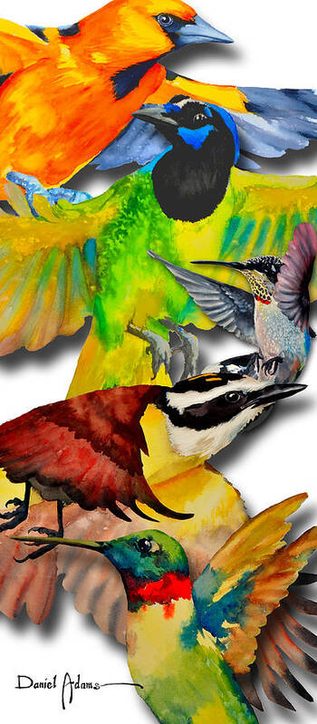 Birds Art Print featuring the painting DA131 Multi-Birds by Daniel Adams by Daniel Adams