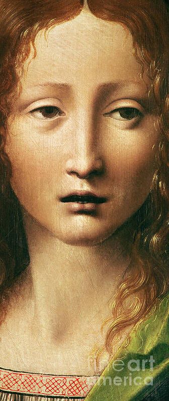 Leonardo Art Print featuring the painting Head of the Savior by Leonardo Da Vinci