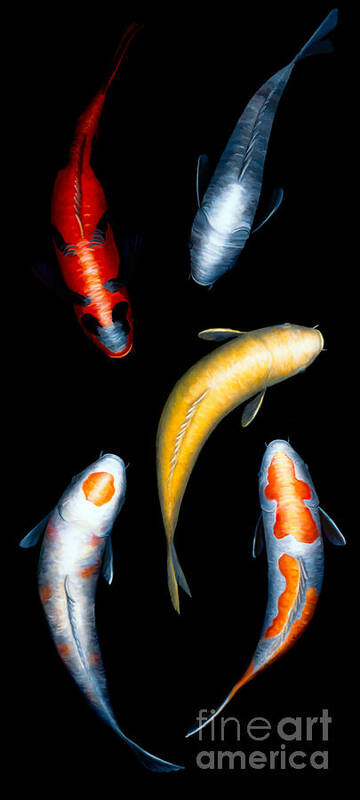Koi Art Print featuring the painting Koi V by Victoria Page