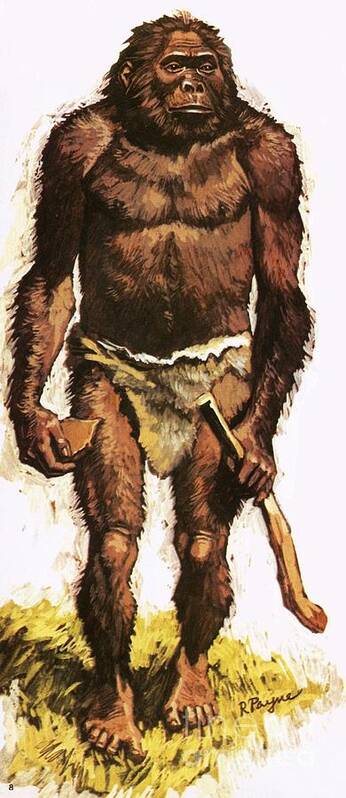 Prehistory Art Print featuring the painting Pre Historic Man by Roger Payne