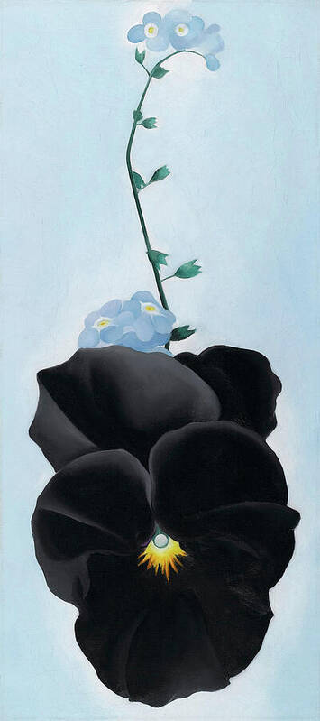 Georgia O'keeffe Art Print featuring the painting Black pansy with forget-me-nots - Modernist flower painting by Georgia O'Keeffe