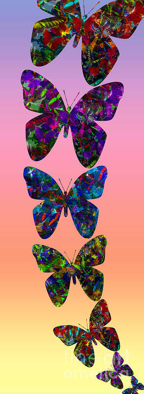 Butterfly Collage Art Print featuring the photograph Butterfly collage IIII by Robert Meanor