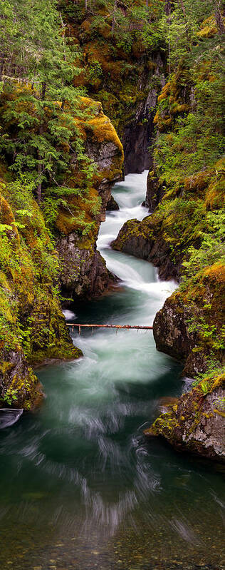 British Columbia Art Print featuring the photograph Little Qualicum River Canyon by Michael Russell