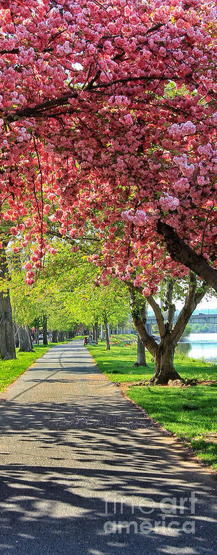 Riverfront Park Art Print featuring the photograph Stroll In The Park by Geoff Crego