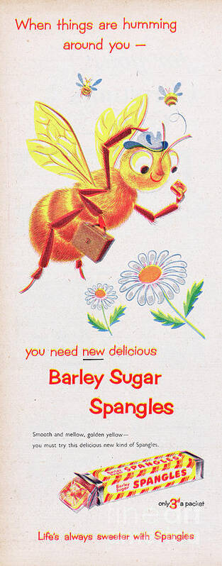1950-1959 Art Print featuring the photograph Barley Sugar Spangles #1 by Picture Post