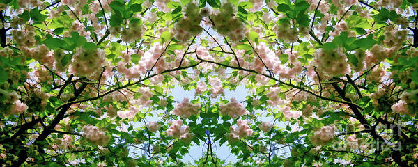 Spring Art Print featuring the digital art Spring Symmetry - Cycle 13 by David Hargreaves