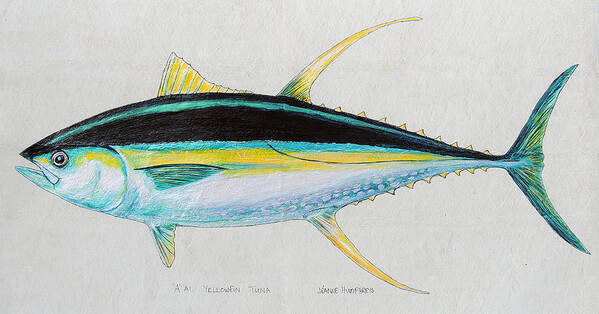 Yellowfin Tuna by Jeanne Washington Tudor-Collins