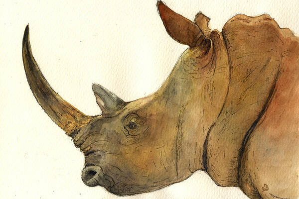 White rhino head study by Juan  Bosco