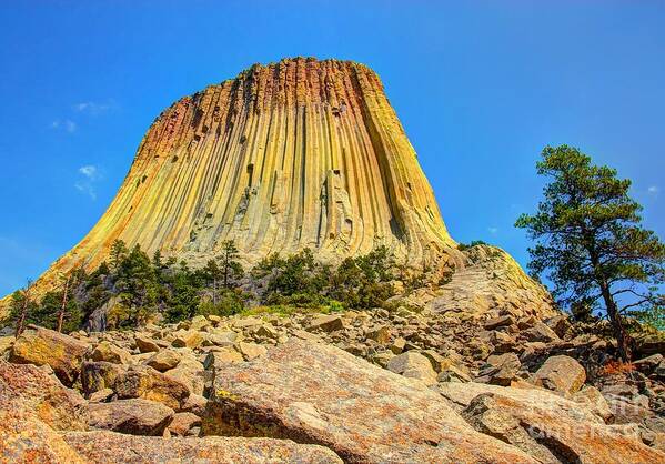 Devils Tower Art Print featuring the photograph The Rock Shop by Anthony Wilkening