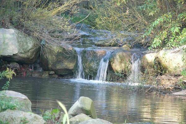 Nature Art Print featuring the photograph Triple Falls by Ee Photography