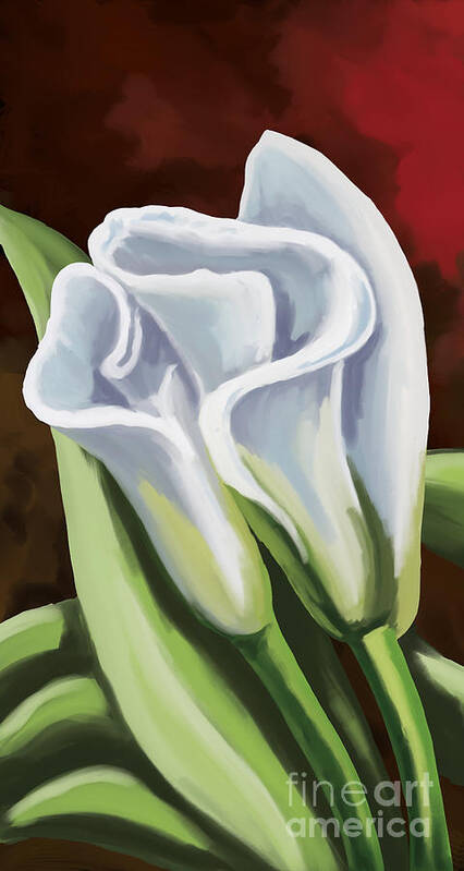 Calla Lilys Art Print featuring the painting Calla Lilies #2 by Tim Gilliland