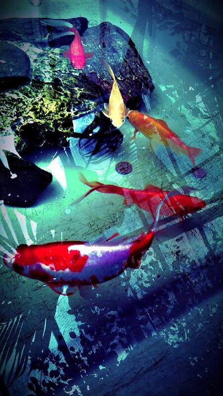 Fish Art Print featuring the photograph Fish #2 by Chris Drake