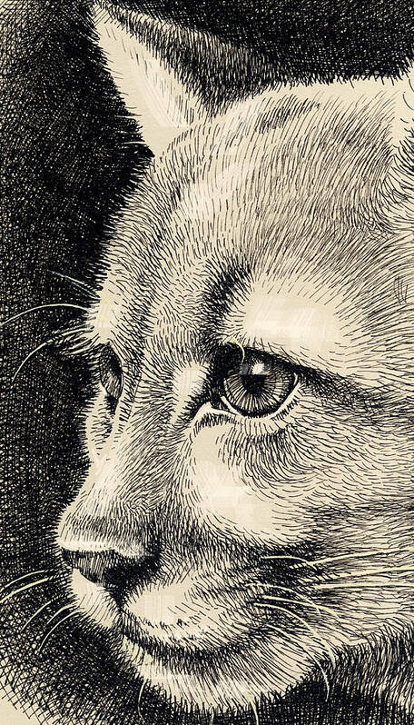 Cat Art Print featuring the digital art Cougar Eye by Mamoun Sakkal