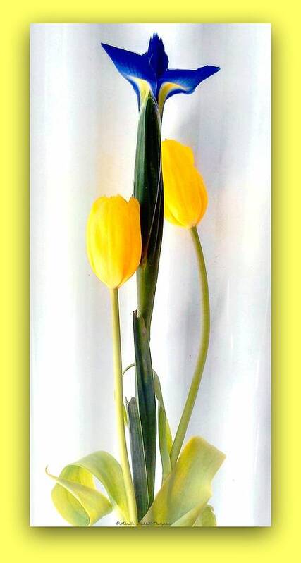 Yellow Art Print featuring the photograph Elegance in Bloom by Michelle Frizzell-Thompson